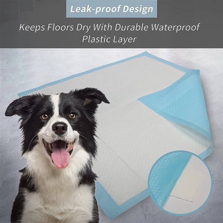 disposable dog pads